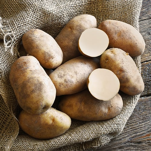 startpotato